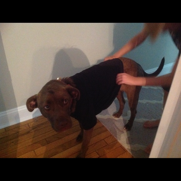 Meet your Posher, Devin - Picture 1 of 1